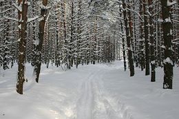 Изображения